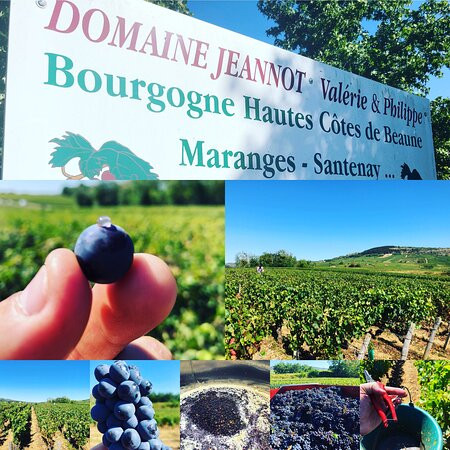 Domaine Jeannot-默尔索必去景点