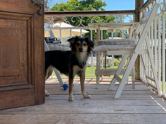 Hotel La Calma de Rita主图