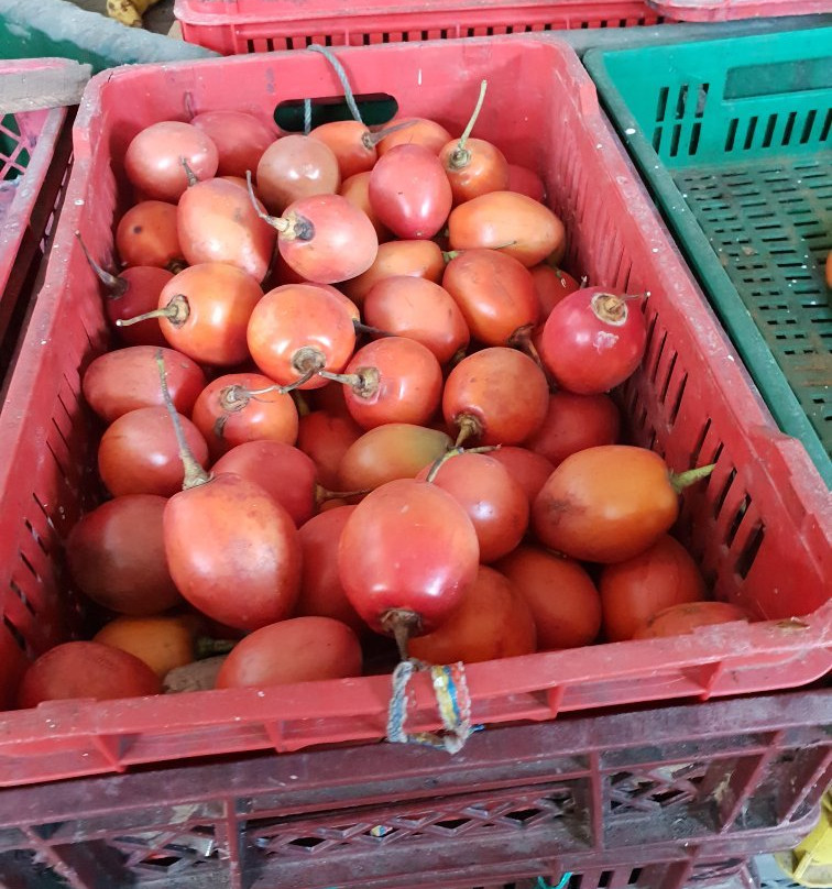 Plaza Principal de Girardot-Girardot必去景点