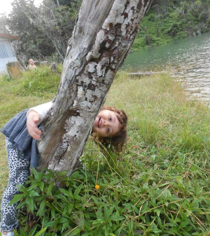 Carite Forest-Cayey必去景点