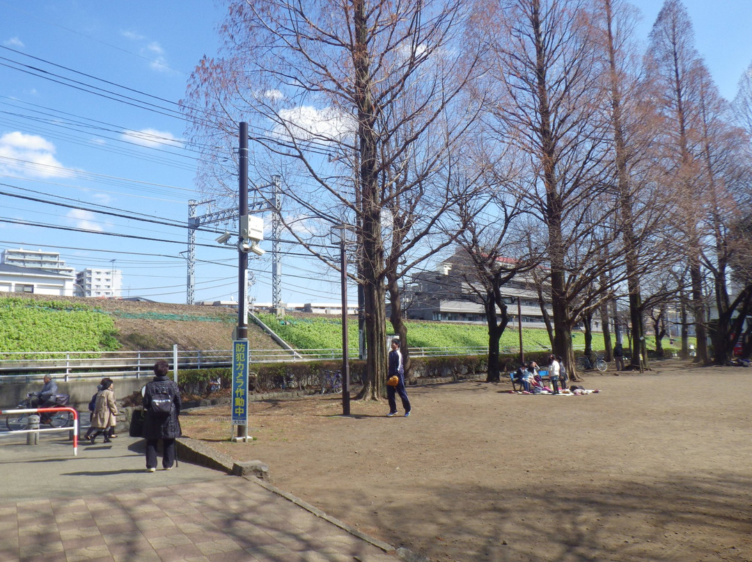 Yamato Park景点图片
