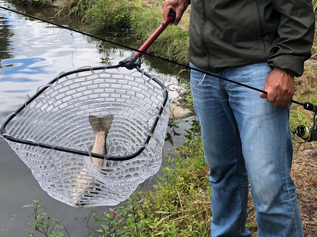 Fishing Motai-郡上市必去景点