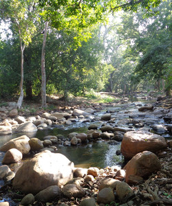 Chinnar Wildlife Sanctuary景点门票图片