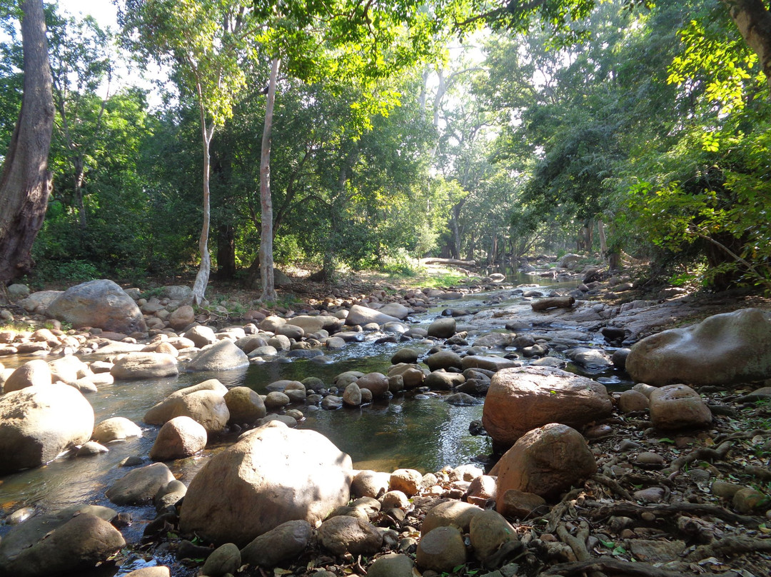 Chinnar Wildlife Sanctuary景点图片
