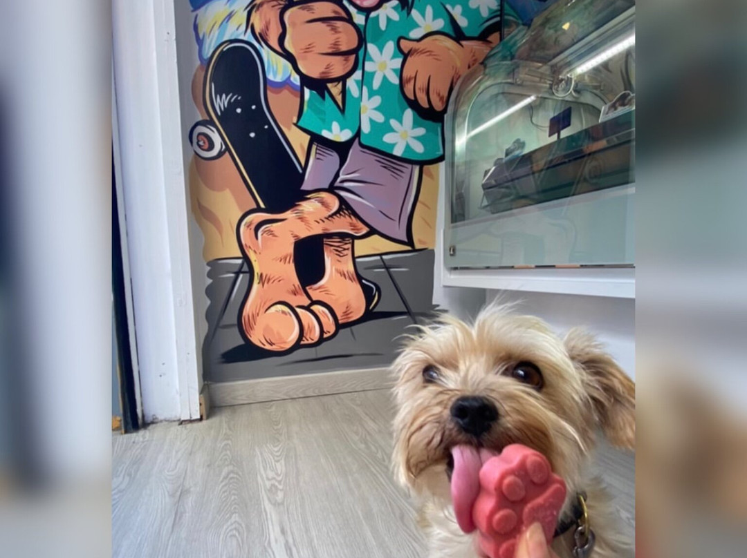 Gelateria Gato Gordo