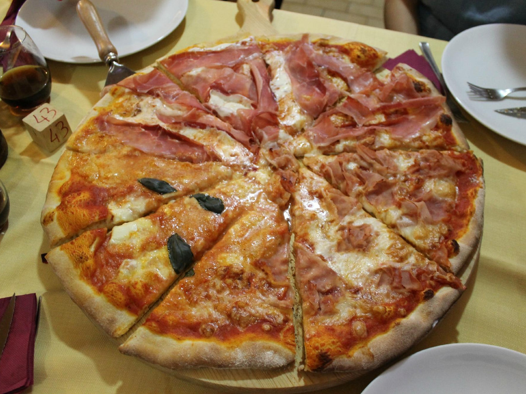 Il Tulipano