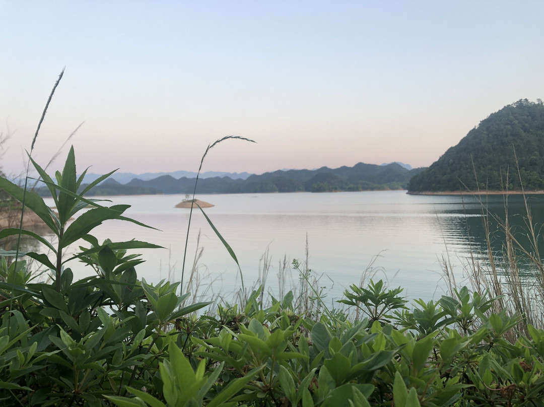 千岛湖安岚主图