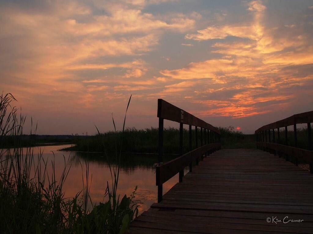 Goose Pond Fish and Wildlife Area-Linton必去景点