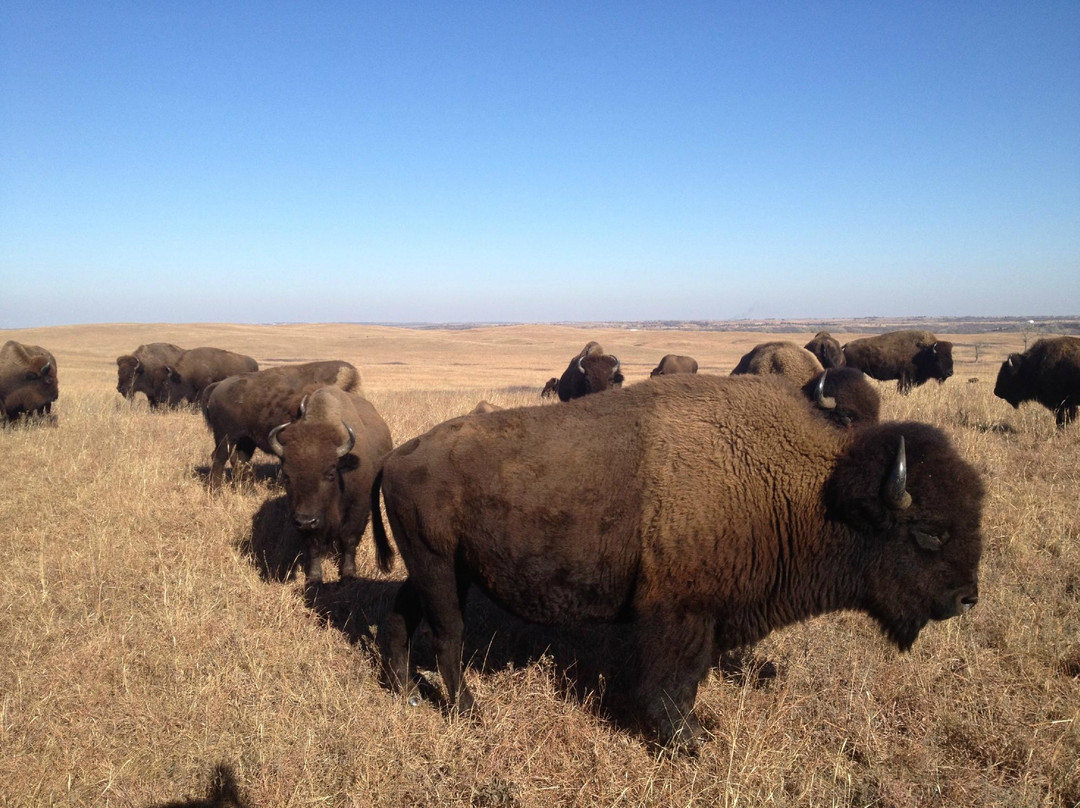 Canton旅游攻略图片