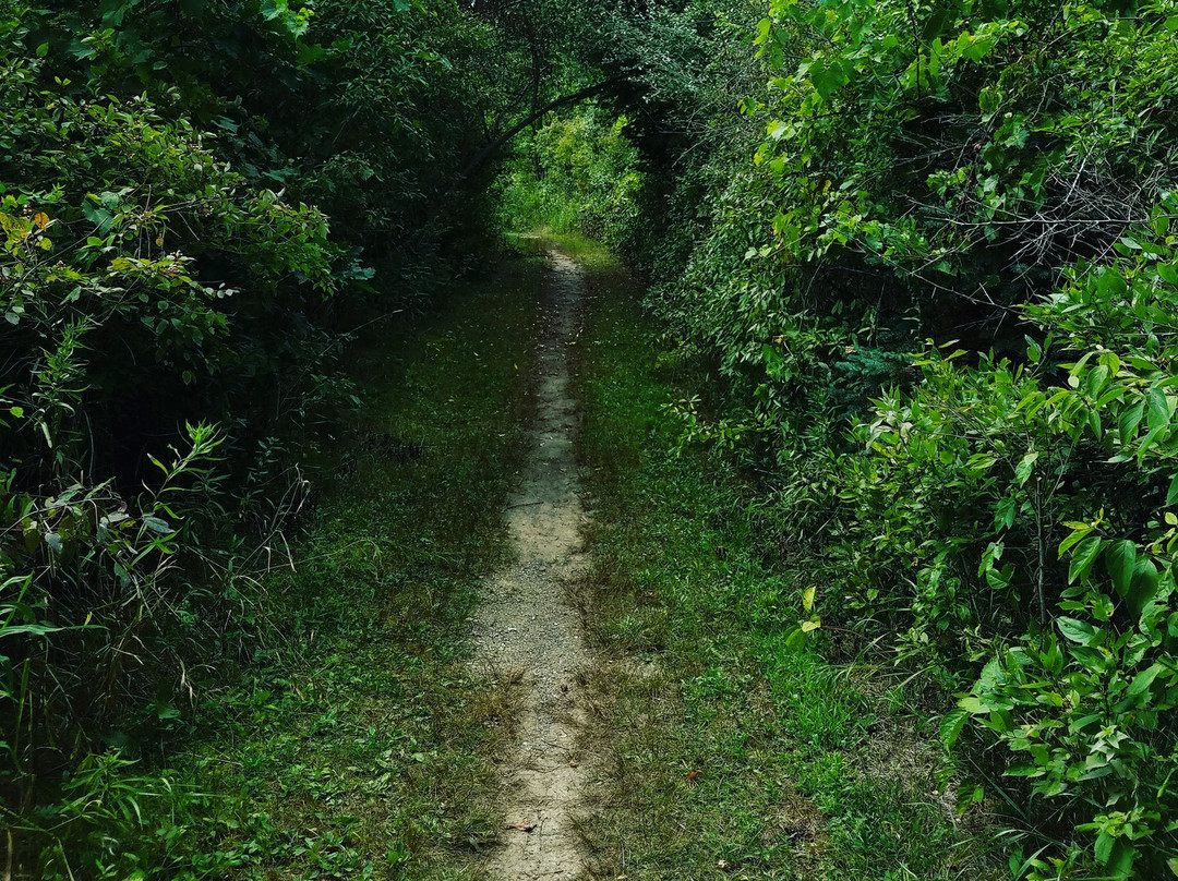 Laingsburg旅游攻略图片