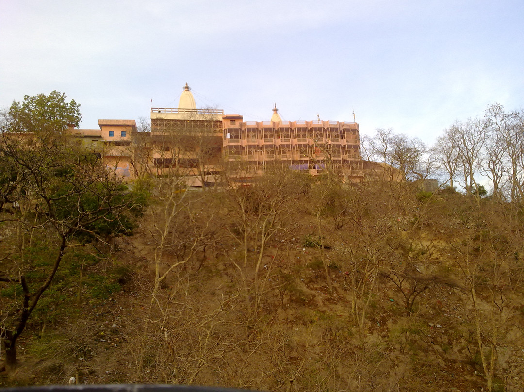Mansa Devi Temple景点图片