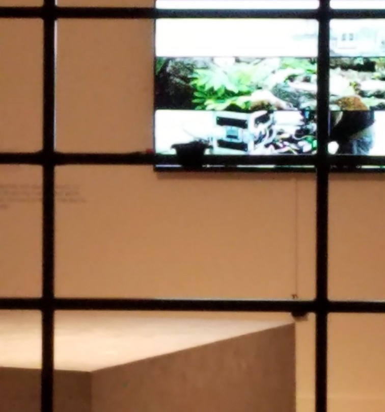 Orange County Museum of Art