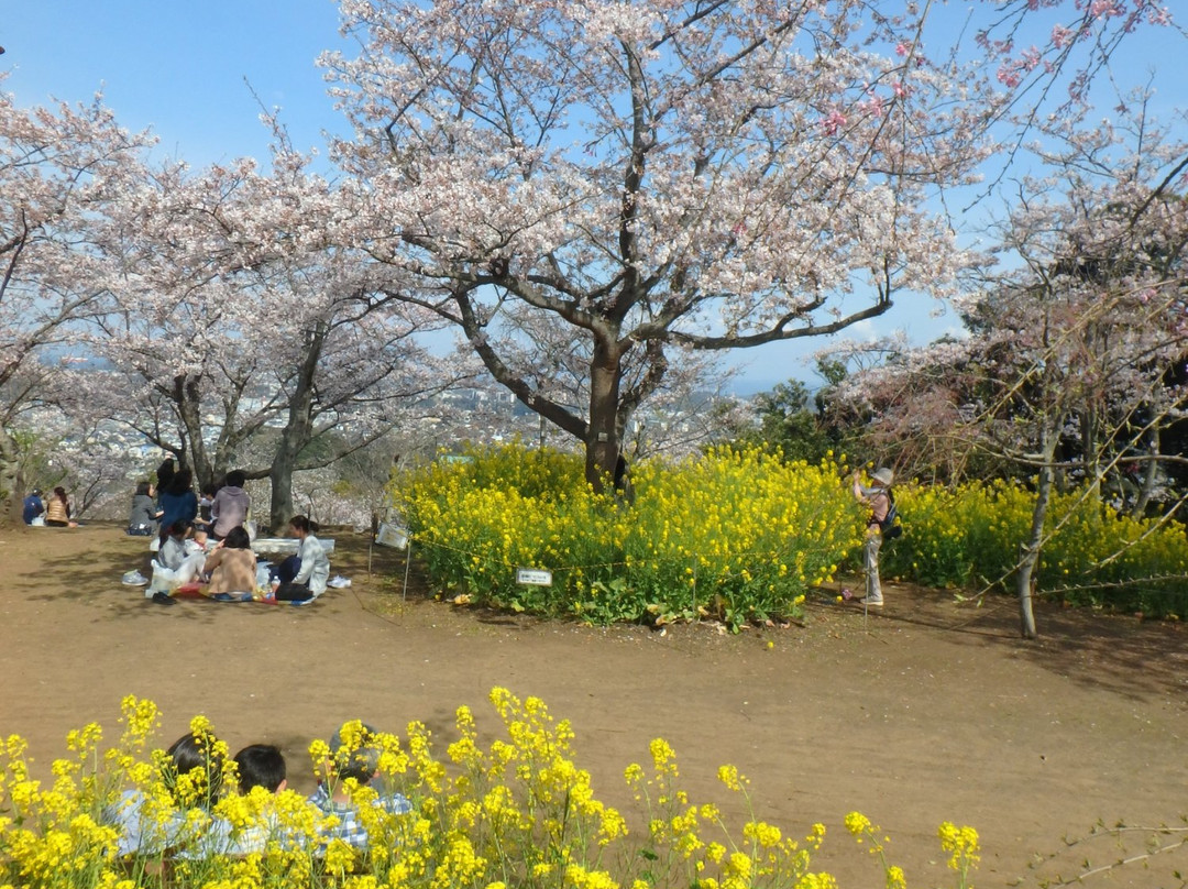 Kinugasayama Park景点图片