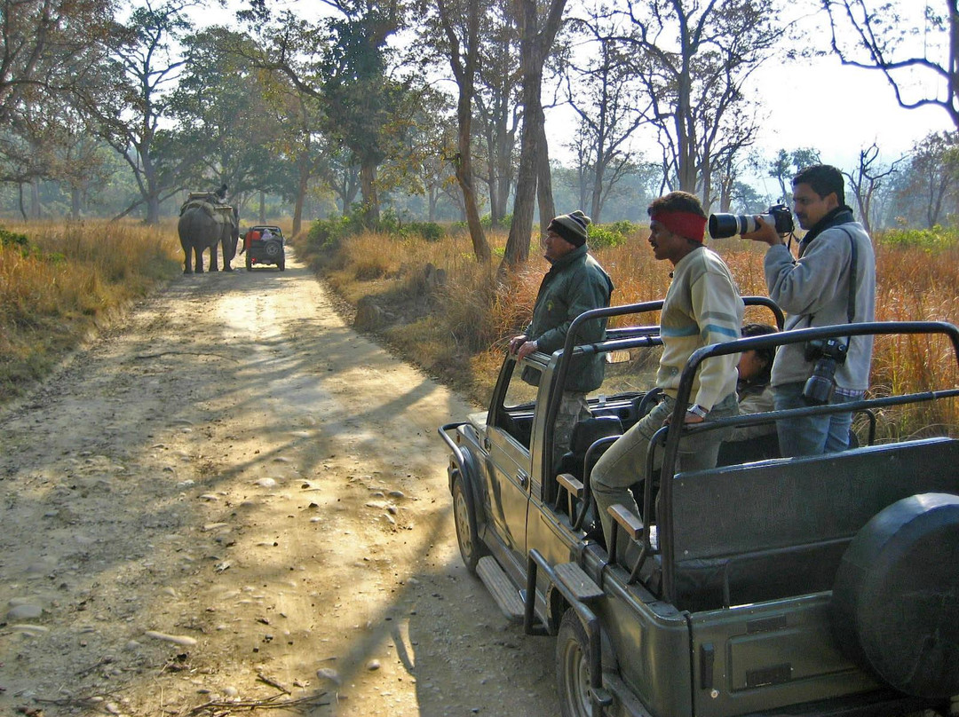 Corbett Jeep Safari景点图片