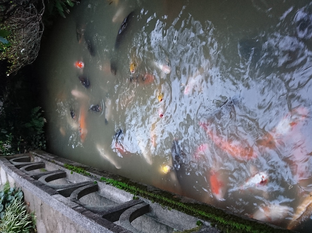 Koi no Komeya Yoshinaga Rice Shop