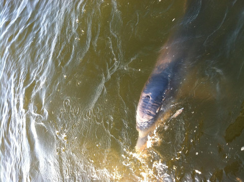 Sailaway Charters-橙色海湾必去景点
