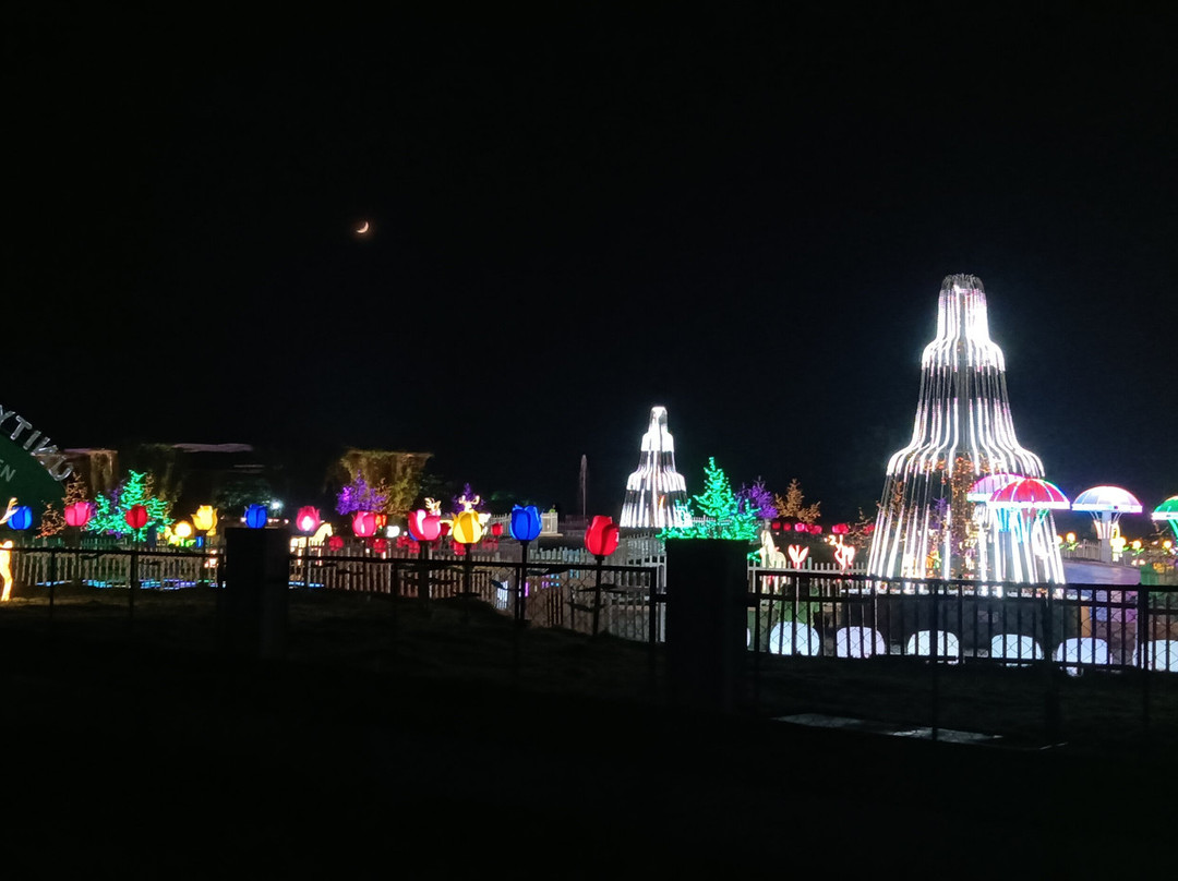 Glow Garden At Statue Of Unity景点图片