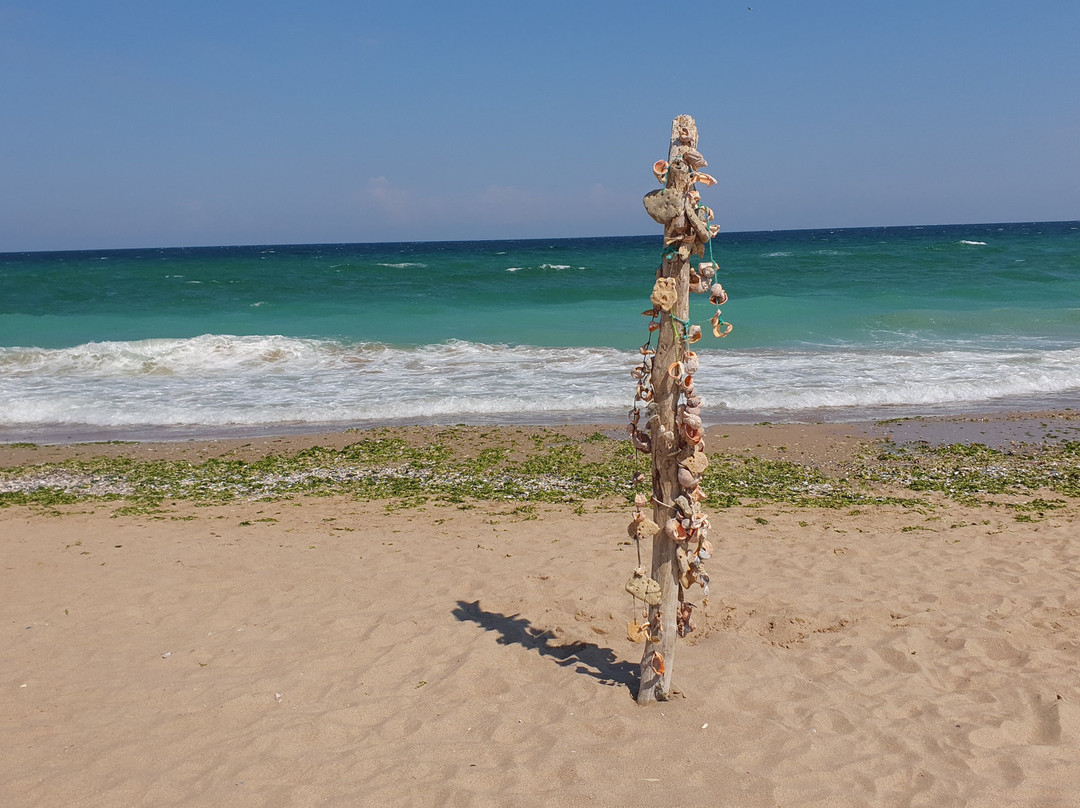 Shabla Beach