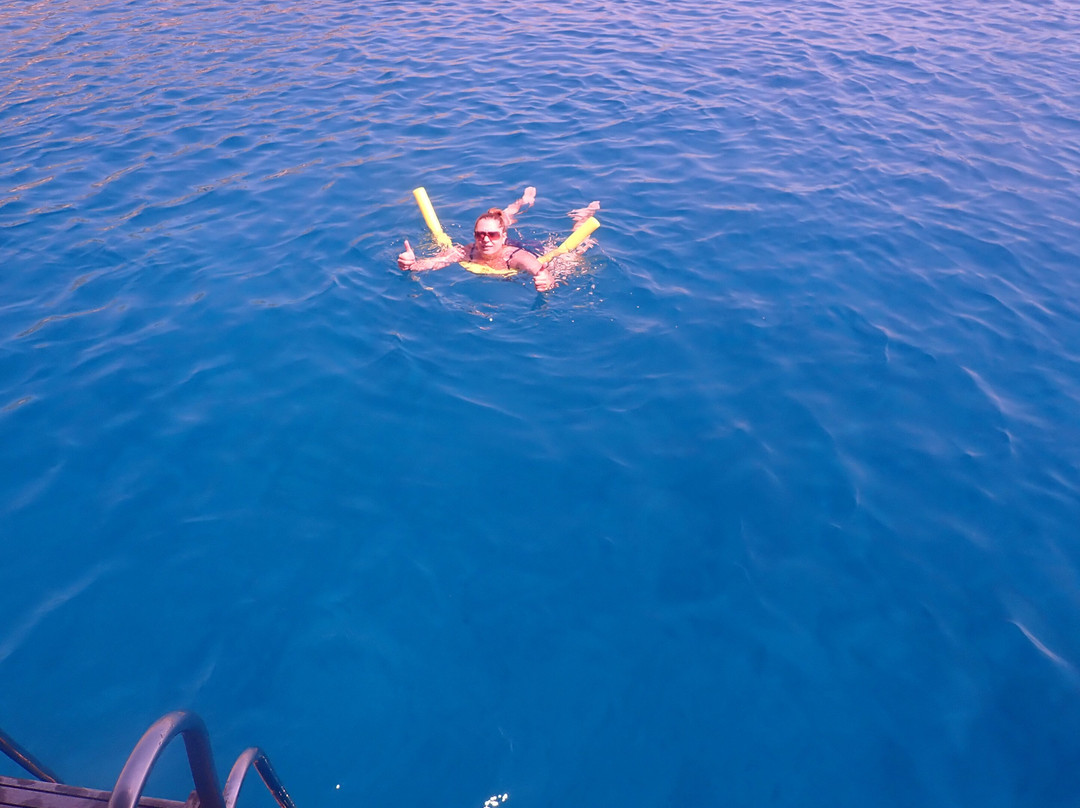 Mani Cruises-Kardamili必去景点