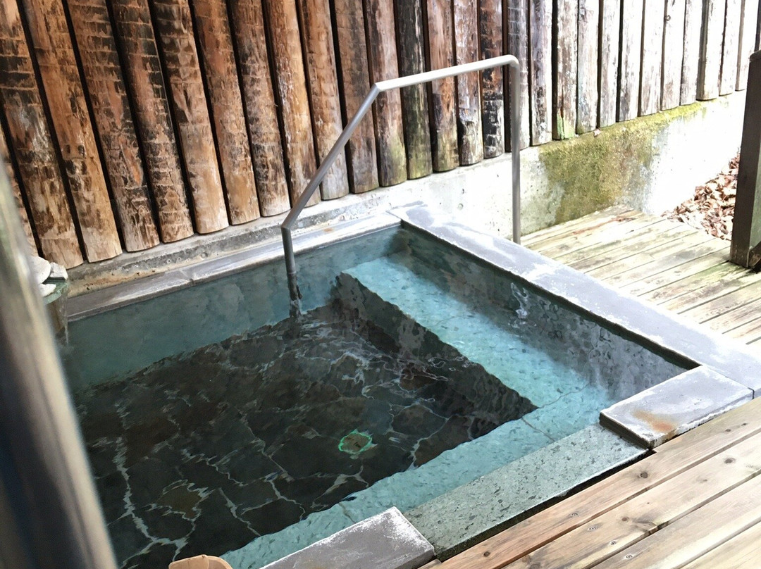 Onsen Ryokan Yamaki主图