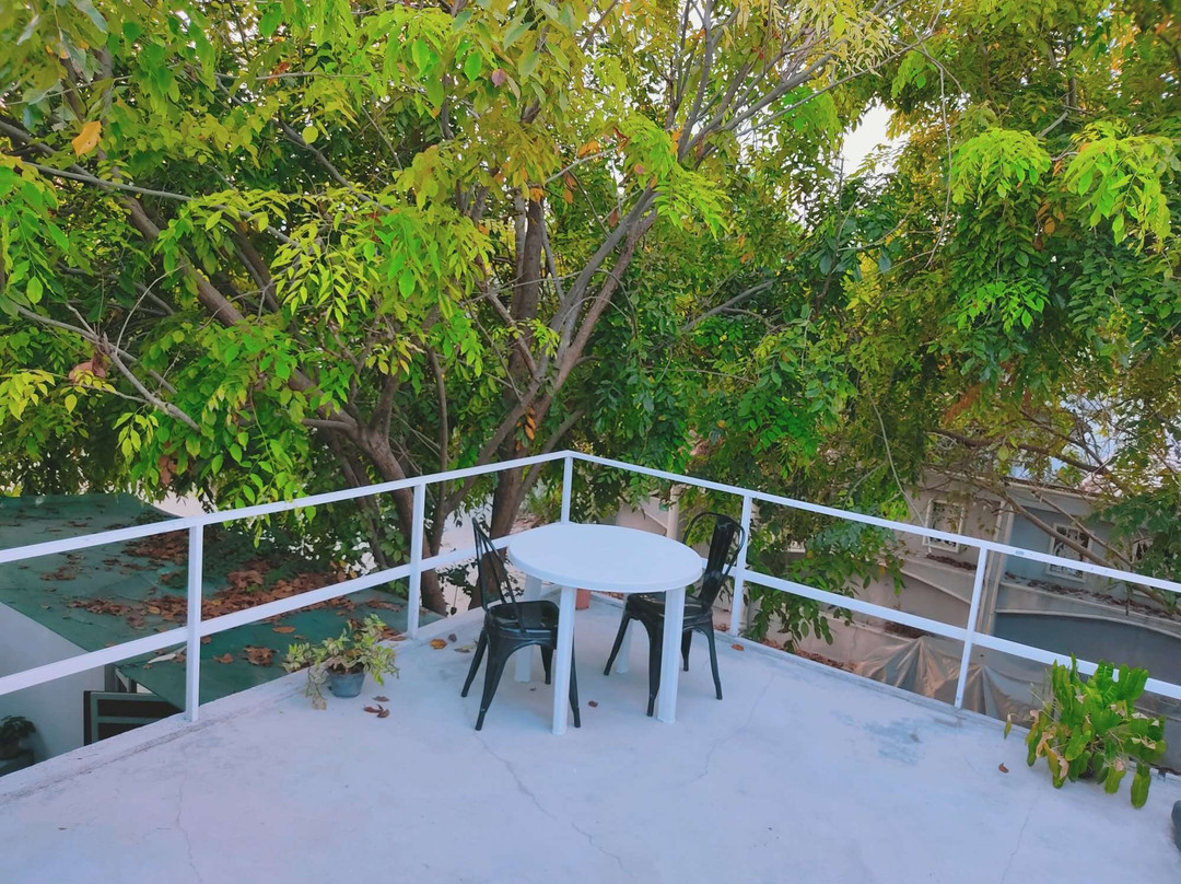 La Isla Bonita主图