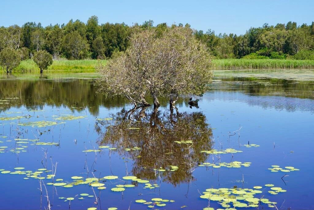 Buckleys Hole Conservation Park景点图片