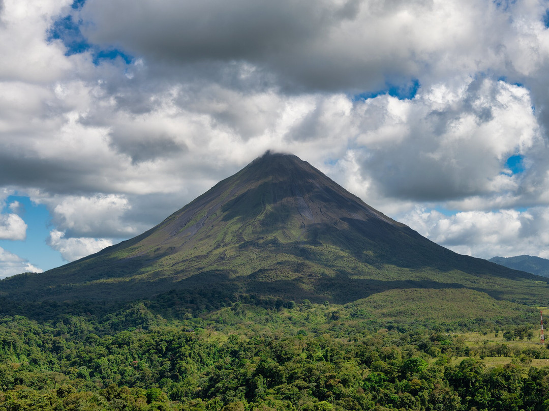 Side by Side ATV Tours & WILD LIFE-塔马林多必去景点