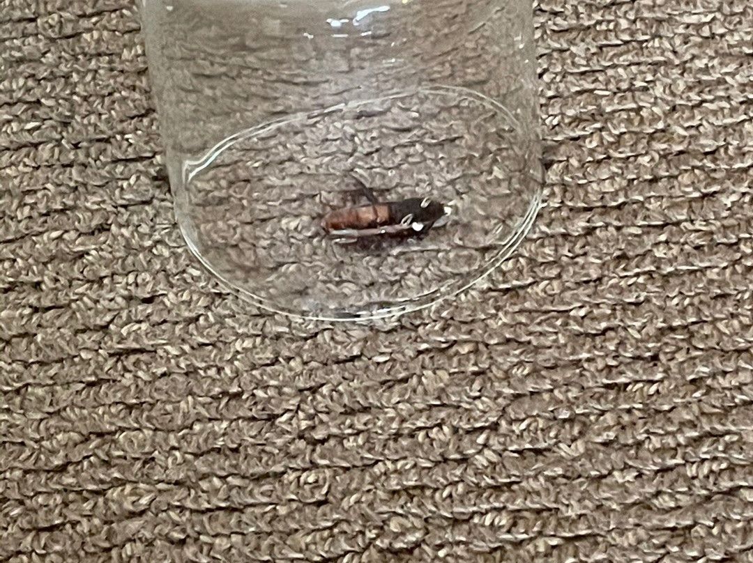 Distinction Whangarei Hotel & Conference Centre主图