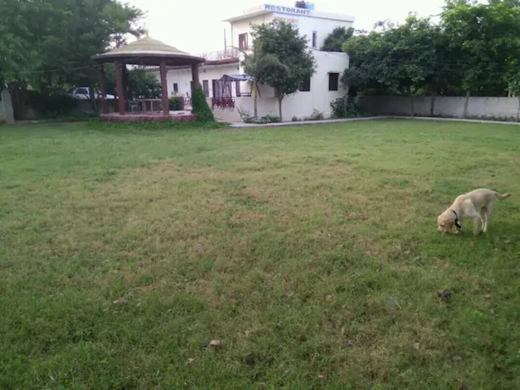 Break Point Farm主图