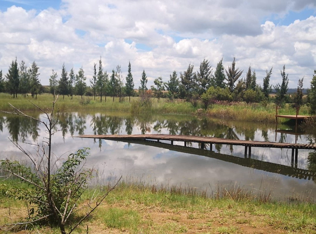 Rosemary Hill Mountain Bike Park-比勒陀利亚必去景点