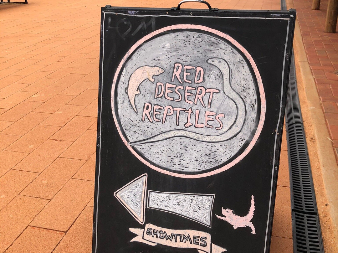 Red Desert Reptiles景点图片