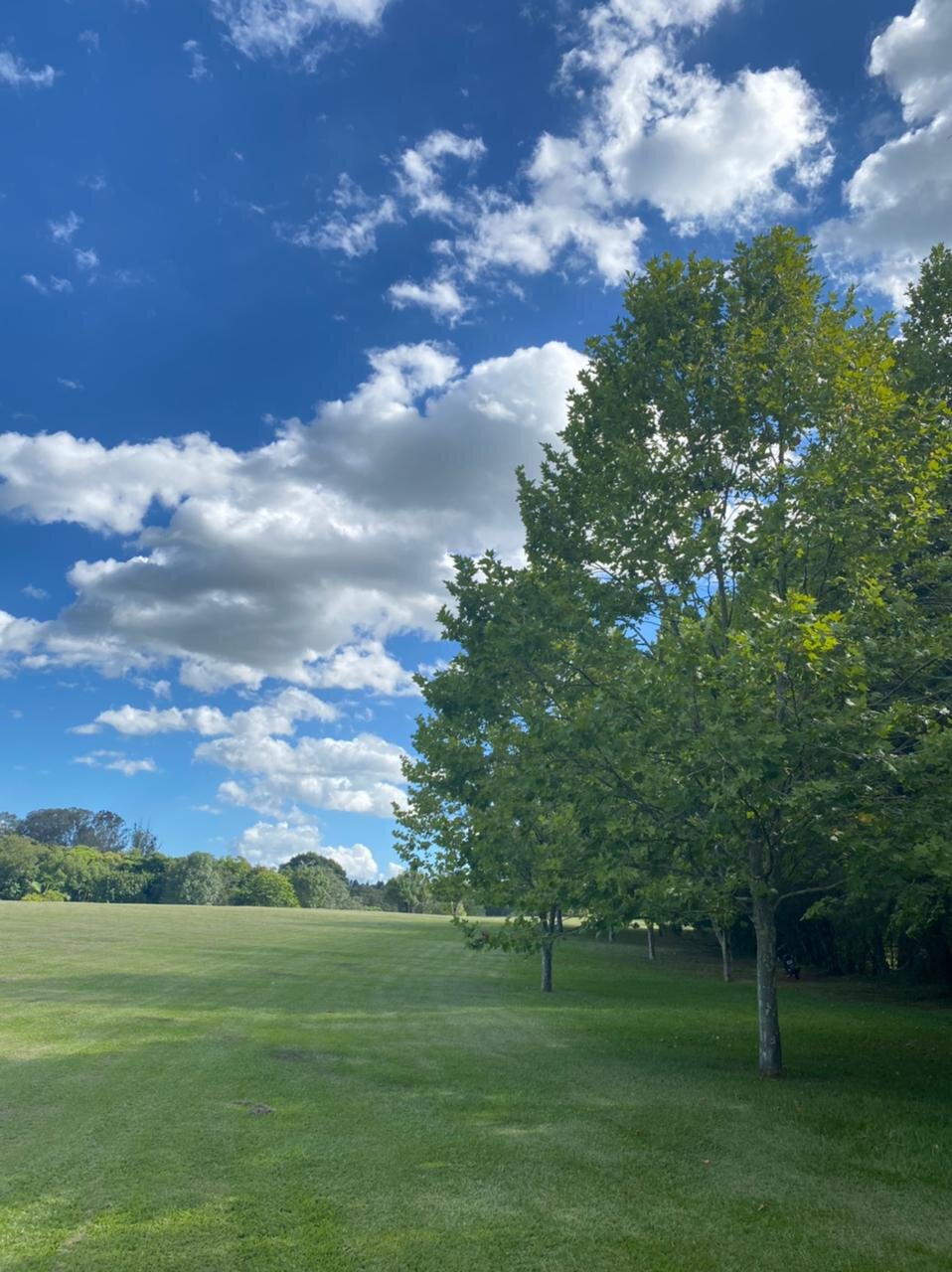 Hotel Carroção-家庭/游戏区