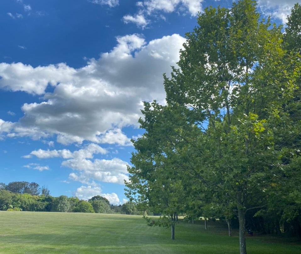 Hotel Carroção主图