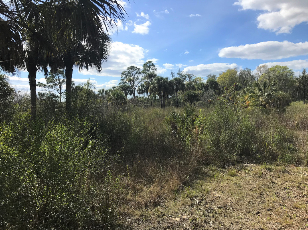 美洲狮国家野生动物保护区-Immokalee必去景点