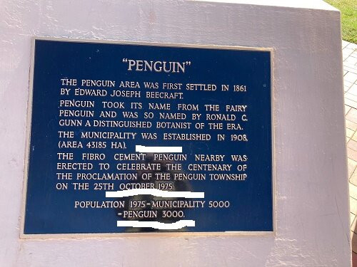 Big Penguin-企鹅岛必去景点