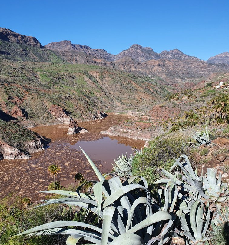 Mirador La Sorrueda景点图片