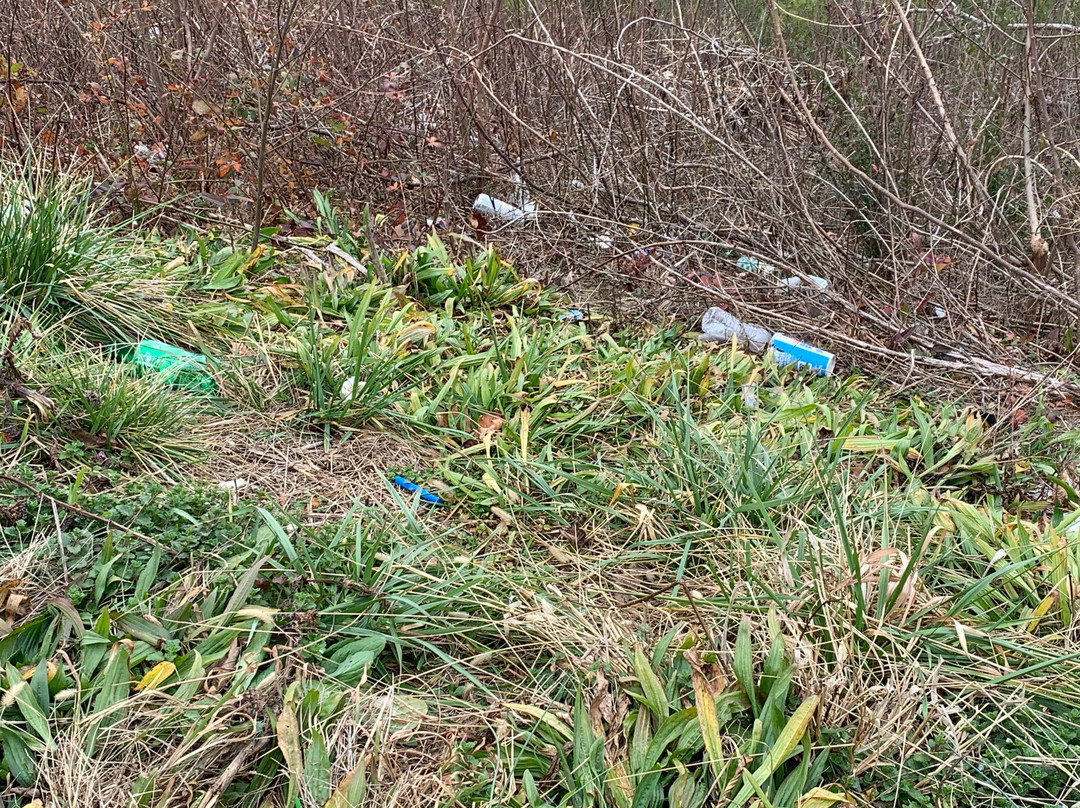Gatlinburg Scenic Overlook-盖林柏格必去景点