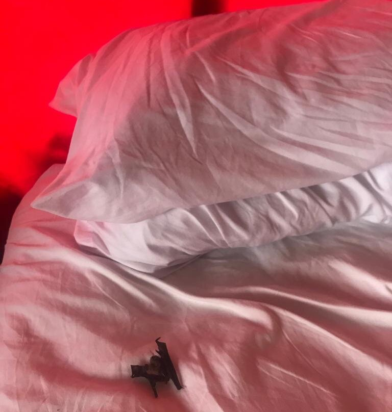 Piedra Piedra Lodge主图