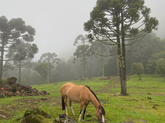 Pousada Guardiao da Montanha主图