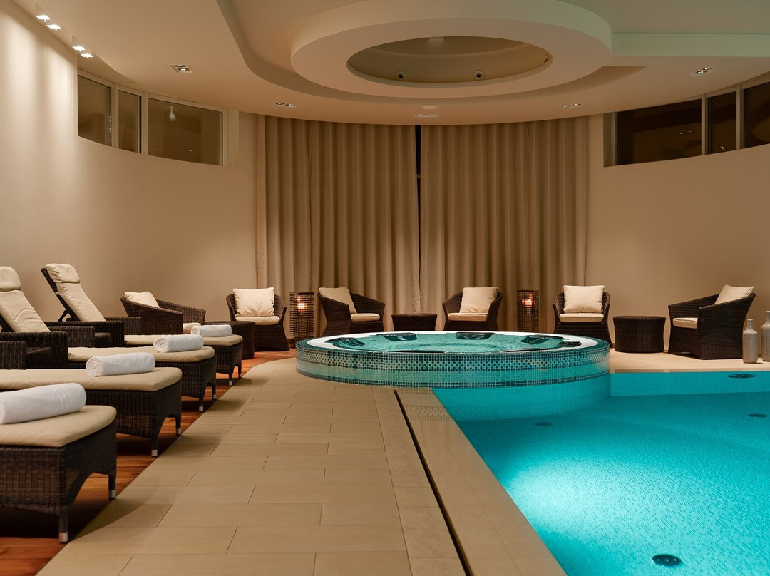 Modrzewie Park Hotel & SPA主图