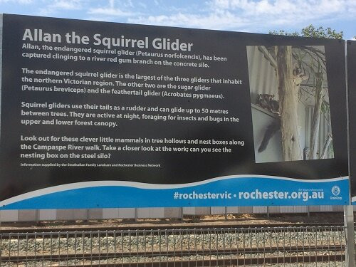 GrainCorp Silo Art-Rochester必去景点