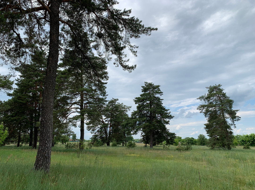 Local Landscape Park Seimskiy