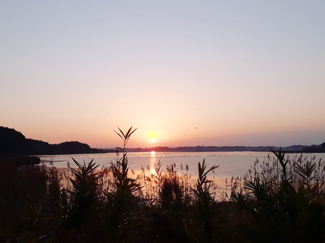 Izunuma and Uchinuma Swamp-栗原市必去景点