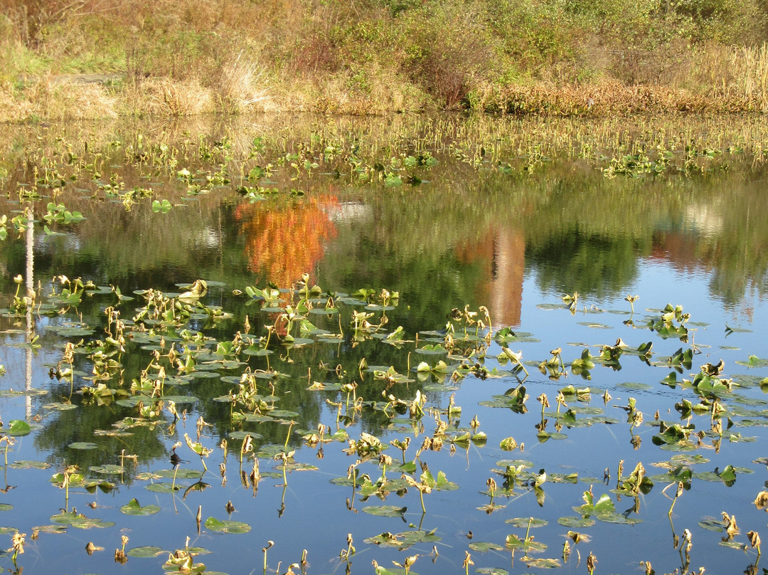 Hashawha Environmental Center &  Bear Branch Nature Center-Westminster必去景点