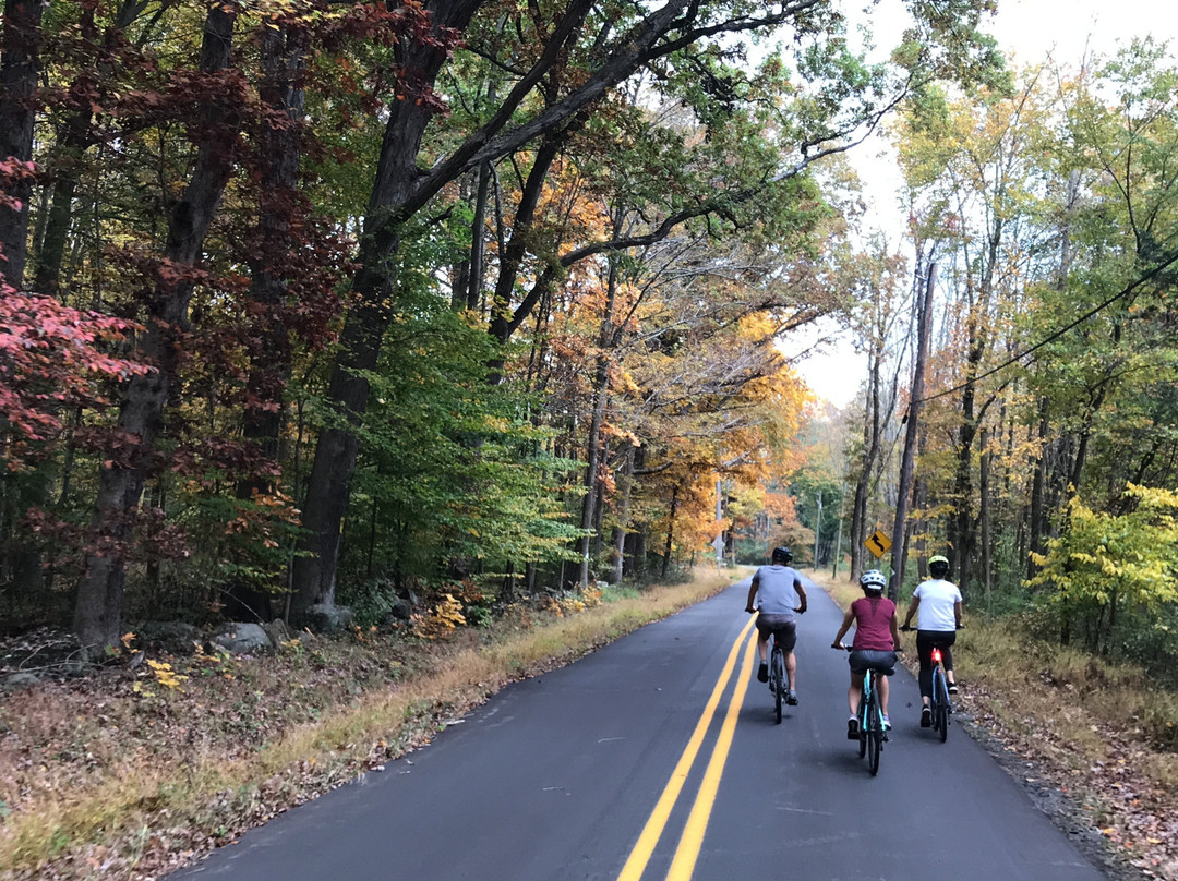NJ Bike Tours​-Pennington必去景点