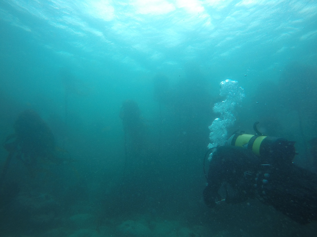 Apnea Addicts Freediving-西门镇必去景点