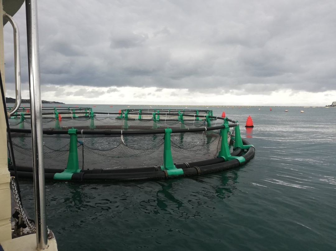 Fonda Fish Farm-波多若斯必去景点