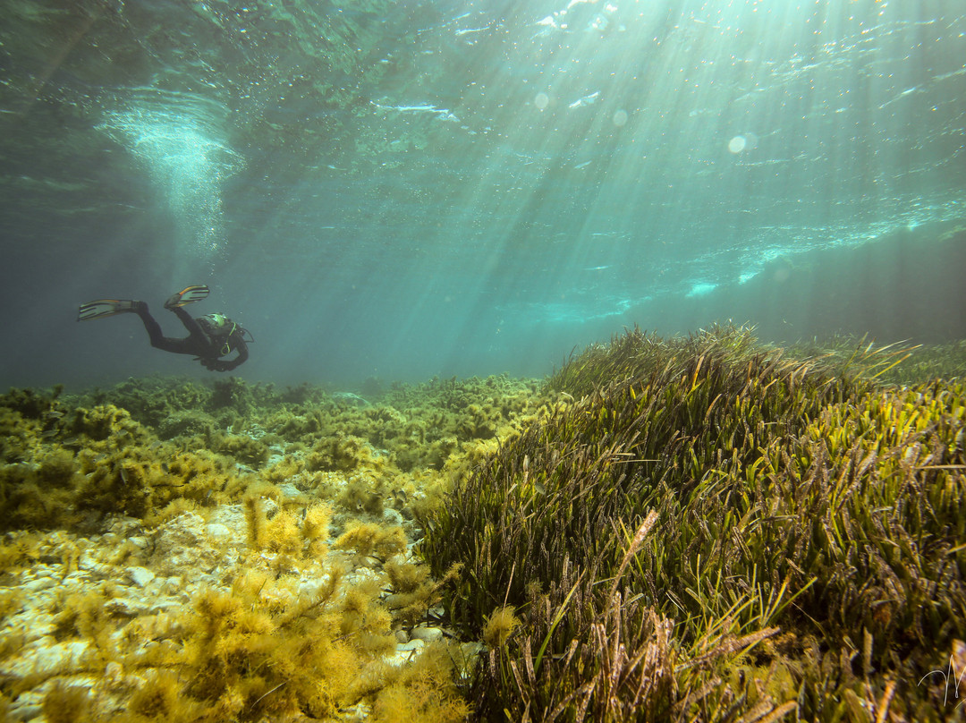 Orangeshark Diving Centre-梅雷赫必去景点