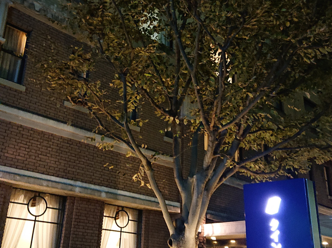 佐世保岐山格兰饭店主图