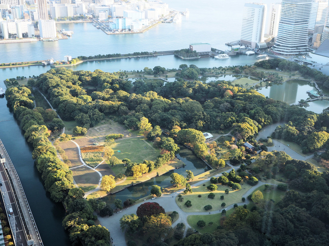 乌龟汐留-港区必去景点